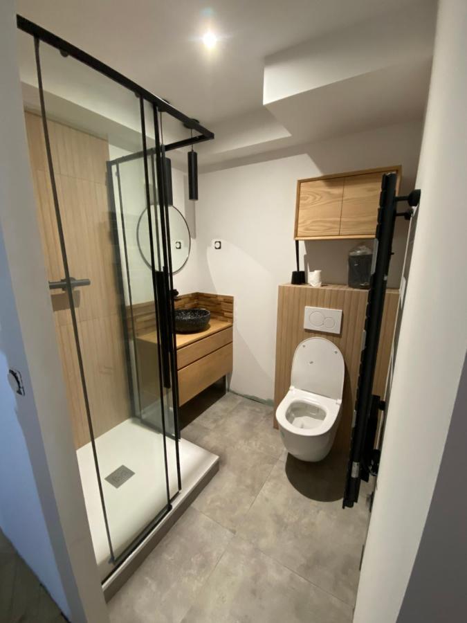 Appartement Neuf Tout Confort 55 M2 - 2 Chambres Pour 4/6 Personnes Le Chambon エクステリア 写真